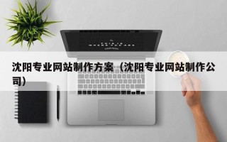 莒县沈阳专业网站制作方案（沈阳专业网站制作公司）